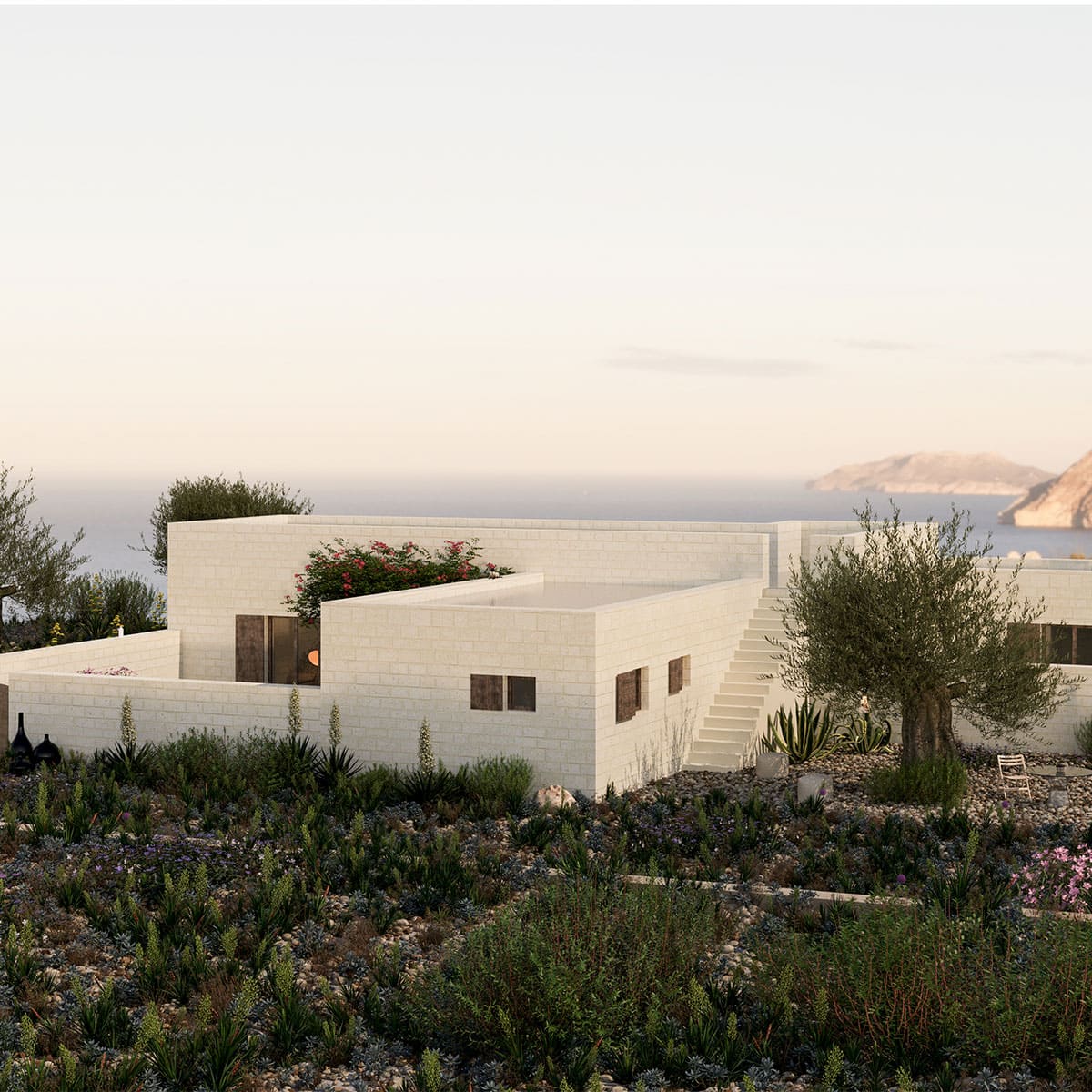 Mediterranea esterno 1